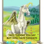 taco tuesday | TACO TUESDAY YOU SAY BUT I STILL HATE TUESDAYS | image tagged in i hate tuesdays,unicorn,meme,memes,hate teusday,taco tuesday | made w/ Imgflip meme maker