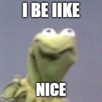 Kermit the frog | I BE IIKE; NICE | image tagged in kermit the frog | made w/ Imgflip meme maker