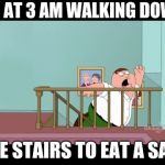 Peter falling down the Stairs | ME AT 3 AM WALKING DOWN; THE STAIRS TO EAT A SAN- | image tagged in peter falling down the stairs | made w/ Imgflip meme maker