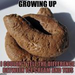 Poop | GROWING UP; I COULDN'T TELL THE DIFFERENCE BETWEEN ICE CREAM AND THIS | image tagged in poop | made w/ Imgflip meme maker