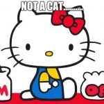 Hello kitty not a cat its true!!!!! | NOT A CAT.......... | image tagged in hello kitty,cats,memes | made w/ Imgflip meme maker