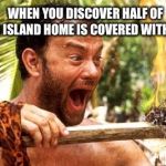 Hey Wilson you’re gonna love this | WHEN YOU DISCOVER HALF OF YOUR ISLAND HOME IS COVERED WITH HASH | image tagged in hanks,castaway fire,canabis,dank meme | made w/ Imgflip meme maker