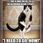 cat pee pee dance | THIS IS HOW YOU GET TO THE BATHROOM BEFORE 5 PEOPLE; "I NEED TO GO, NOW!" | image tagged in cat pee pee dance | made w/ Imgflip meme maker