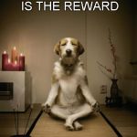 Dogfucius say | WALKING THE DOG IS THE REWARD; SACK RATS ARE VAIN | image tagged in zen dog,memes,confucius say,dog walking | made w/ Imgflip meme maker
