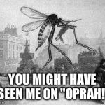 Mosquito Attack | YOU MIGHT HAVE SEEN ME ON "OPRAH!" | image tagged in mosquito attack | made w/ Imgflip meme maker
