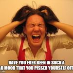 Stressed out dumb lady | HAVE YOU EVER BEEN IN SUCH A BAD MOOD THAT YOU PISSED YOURSELF OFF?? | image tagged in stressed out dumb lady | made w/ Imgflip meme maker