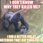 Harambe | I DON'T KNOW WHY THEY KILLED ME? I DID A BETTER JOB AT WATCHING THAT KID THAN SHE DID | image tagged in harambe,scumbag | made w/ Imgflip meme maker