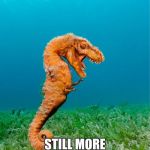 dino seahorse | A SEADINO; STILL MORE BELIVEBLE THAT ANYTHING JAKE PAUL SAYS | image tagged in dino seahorse | made w/ Imgflip meme maker