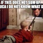 Home Alone | IF THIS DOES NOT SUM UP AMERICA I DO NOT KNOW WHAT DOES | image tagged in home alone | made w/ Imgflip meme maker