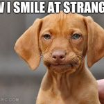 Umm dog | HOW I SMILE AT STRANGERS | image tagged in umm dog | made w/ Imgflip meme maker