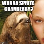 it's the most thirstiest time of the year | WANNA SPRITE CRANBERRY? | image tagged in memes,whisper sloth | made w/ Imgflip meme maker