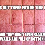 Insulation | FOOLS OUT THERE EATING TIDE PODS; AND THEY DON'T EVEN REALIZE THIER WALLS ARE FULL OF COTTON CANDY | image tagged in insulation | made w/ Imgflip meme maker