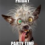 Friday party time | FRIDAY; PARTY TIME | image tagged in me monday morning,friday,party time,meme,memes,funny animals | made w/ Imgflip meme maker