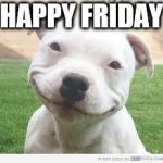 happy Friday
 | HAPPY FRIDAY | image tagged in happy friday puppy,happy friday,friday,meme,memes,puppy | made w/ Imgflip meme maker