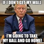 pouty trump | IF I DON'T GET MY WALL; I'M GOING TO TAKE MY BALL AND GO HOME! | image tagged in pouty trump | made w/ Imgflip meme maker