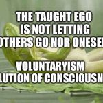 Zen Frog | THE TAUGHT EGO IS NOT LETTING OTHERS GO NOR ONESELF; VOLUNTARYISM EVOLUTION OF CONSCIOUSNESS | image tagged in zen frog | made w/ Imgflip meme maker