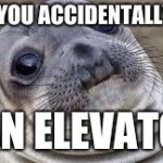 Akward moment seal | WHEN YOU ACCIDENTALLY FART; I AN ELEVATOR | image tagged in akward moment seal | made w/ Imgflip meme maker