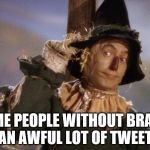 Scarecrow | SOME PEOPLE WITHOUT BRAINS DO AN AWFUL LOT OF TWEETING | image tagged in scarecrow | made w/ Imgflip meme maker