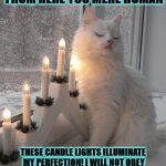 I'M PERFECT | NO I WILL NOT MOVE FROM HERE YOU MERE HUMAN; THESE CANDLE LIGHTS ILLUMINATE MY PERFECTION! I WILL NOT OBEY YOU LIKE A PEASANT DOG! I'M A CAT & I ONLY GIVE ORDERS! THAT'LL BE ALL SLAVE! | image tagged in i'm perfect | made w/ Imgflip meme maker