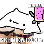 Bongo Cat | REMEMBER THIS BOI? THIS IS HIM NOW, FEEL OLD YET? | image tagged in bongo cat | made w/ Imgflip meme maker