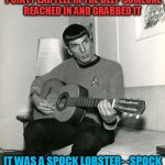 Spock Lobster | WE WERE AT A PARTY
HIS  POINTY EAR FELL IN THE DEEP
SOMEONE REACHED IN AND GRABBED IT; IT WAS A SPOCK LOBSTER-
-SPOCK LOBSTER
SPOCK LOBSTER | image tagged in nimoy,spock,lobster,rock | made w/ Imgflip meme maker