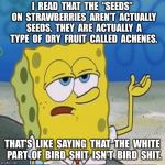 Spongebob whatever | I  READ  THAT  THE  “SEEDS”  ON  STRAWBERRIES  AREN’T  ACTUALLY  SEEDS.  THEY  ARE  ACTUALLY  A  TYPE  OF  DRY  FRUIT  CALLED  ACHENES. THAT’S  LIKE  SAYING  THAT  THE  WHITE  PART  OF  BIRD  SHIT  ISN’T  BIRD  SHIT. | image tagged in spongebob whatever | made w/ Imgflip meme maker