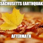 hd leaf | MASSACHUSETTS EARTHQUAKE 2.0; AFTERMATH | image tagged in hd leaf | made w/ Imgflip meme maker