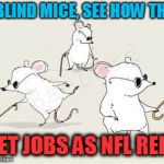 Blind mice | 3 BLIND MICE, SEE HOW THEY; GET JOBS AS NFL REFS | image tagged in blind mice | made w/ Imgflip meme maker