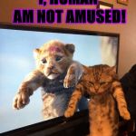 NOT AMUSED | I, HUMAN; AM NOT AMUSED! | image tagged in not amused | made w/ Imgflip meme maker