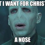 Voldemort | WHAT I WANT FOR CHRISTMAS; A NOSE | image tagged in voldemort | made w/ Imgflip meme maker