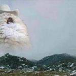 Country Cat meme
