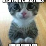 Cat for Christmas | MY KIDS WANT A CAT FOR CHRISTMAS; I PREFER TURKEY BUT WHATEVER KEEPS THEM HAPPY | image tagged in kitten big eyes,turkey,christmas,christmas dinner | made w/ Imgflip meme maker