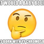 YY | WHAT WOULD A BABY BE LIKE IF; IT WAS BORN WITH YY CHROMOSOMES? | image tagged in thinking emoji,chromosomes,xx,xy,yy | made w/ Imgflip meme maker