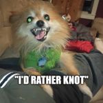 Bad Pun Mocha | HOW DO FURRIES RESPOND WHEN OFFERED YIFFS? "I'D RATHER KNOT" | image tagged in bad pun mocha | made w/ Imgflip meme maker