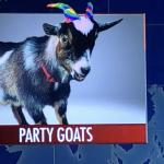 Party Goats