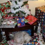 When your dog waits to catch santa in the act. | WHEN YOUR DOG WAITS TO CATCH SANTA IN THE ACT; MEET LULU FROM AUSTRALIA; CREATED BY NICHOLAS ORTYAN | image tagged in when your pet is the only gift you need this christmas,cute dog,dogs,memes,doggo,cuteness overload | made w/ Imgflip meme maker