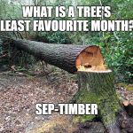 Cut tree | WHAT IS A TREE'S LEAST FAVOURITE MONTH? SEP-TIMBER | image tagged in cut tree | made w/ Imgflip meme maker
