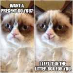 Smiling Grumpy Cat | WANT A PRESENT DO YOU? I LEFT IT IN THE LITTER BOX FOR YOU. | image tagged in smiling grumpy cat | made w/ Imgflip meme maker