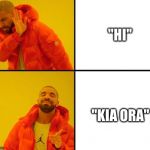 Drake Approves (HD) | "HI"; "KIA ORA" | image tagged in drake approves hd | made w/ Imgflip meme maker