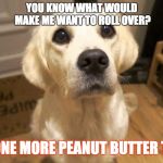 just one more.. please?! | YOU KNOW WHAT WOULD MAKE ME WANT TO ROLL OVER? JUST ONE MORE PEANUT BUTTER TREAT! | image tagged in just one more please | made w/ Imgflip meme maker