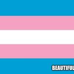 Transgender Flag | THIS....... BEAUTIFUL FLAG | image tagged in transgender flag | made w/ Imgflip meme maker