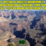 Grand Canyon | IF INSTEAD OF DIRECTLY ANSWERING TO YOUR ACCUSATION OF CHEATING, YOUR SPOUSE IS ALL, "LET'S GO HIKING IN THE CAYON!", SAY, NO! | image tagged in grand canyon | made w/ Imgflip meme maker