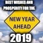New Year Ahead | BEST WISHES AND PROSPERITY FOR THE; 2019 | image tagged in new year ahead | made w/ Imgflip meme maker