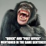 Laughing Monkey | "QUICK" AND "POST OFFICE" MENTIONED IN THE SAME SENTENCE! | image tagged in laughing monkey | made w/ Imgflip meme maker