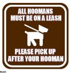 leash required | ALL HOOMANS MUST BE ON A LEASH; PLEASE PICK UP AFTER YOUR HOOMAN | image tagged in dogs,leash,pick,up,after,memes | made w/ Imgflip meme maker