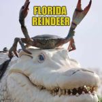 Cajun Reindeer | FLORIDA REINDEER | image tagged in cajun reindeer | made w/ Imgflip meme maker