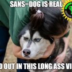 dog is sans | SANS=DOG IS REAL; FIND OUT IN THIS LONG ASS VIDEO | image tagged in really human,sans dog,crack at gt | made w/ Imgflip meme maker