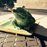 Peace.froggie