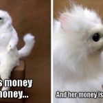 Wtf Cat | When his money is HIS money... And her money is "OUR" money | image tagged in wtf cat,mhm | made w/ Imgflip meme maker