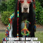 Hippie dog  | I THOUGHT THE MUSEUM OF PSYCHEDELIA WAS MUCH CLOSER TO TOWN, BUT IT’S ACTUALLY REALLY FAR OUT. | image tagged in hippie dog | made w/ Imgflip meme maker